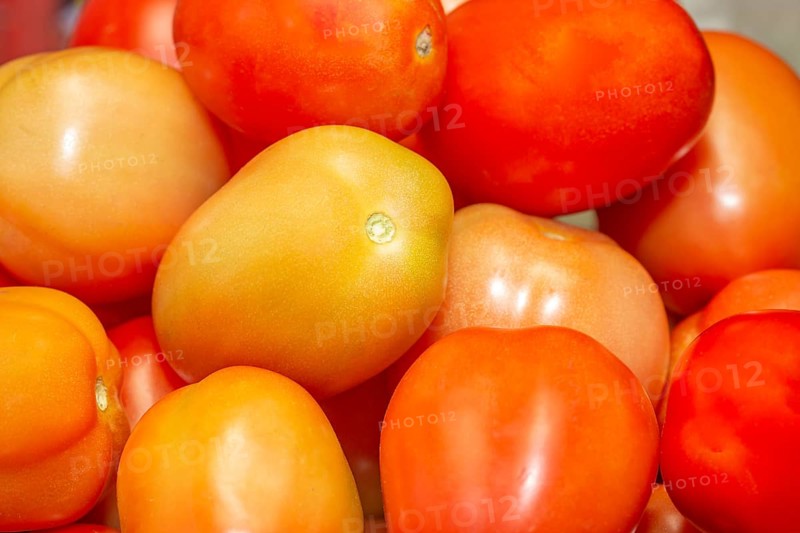 Fresh organic ripe tomatoes in the central market of the capital city of Port Louis