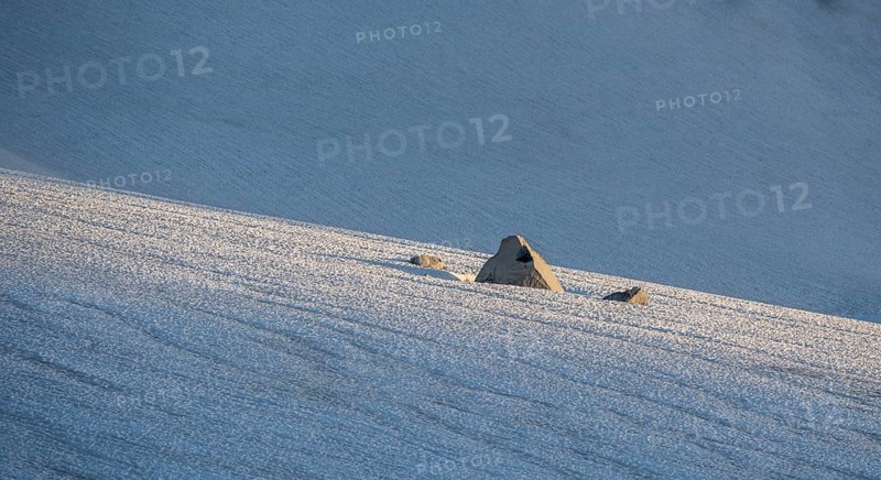 Rocks sticking out of the snow