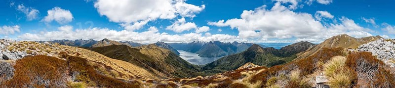 Kepler Track