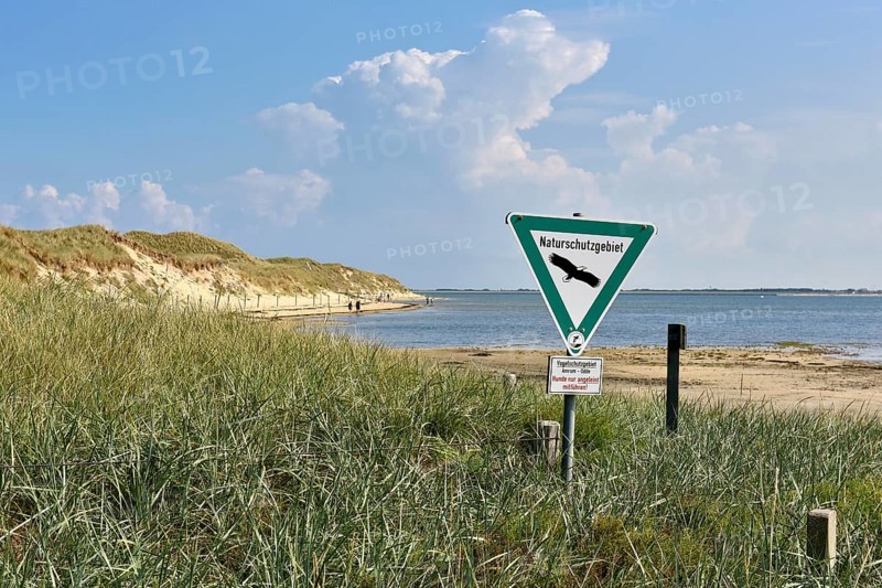 Shore of the Wadden Sea at Odde