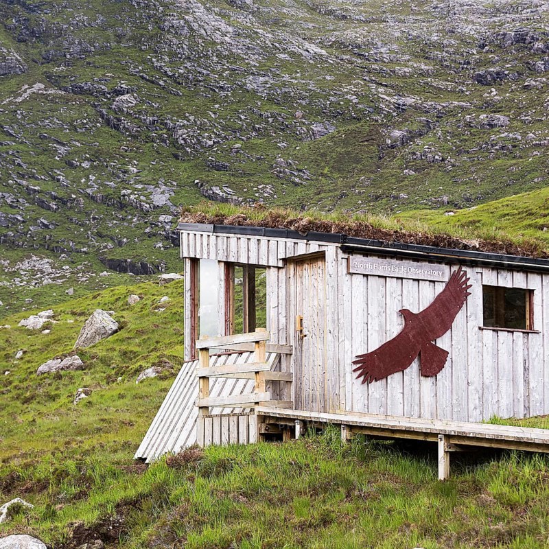 Simple wooden hut in the mountains with a picture of an eagle