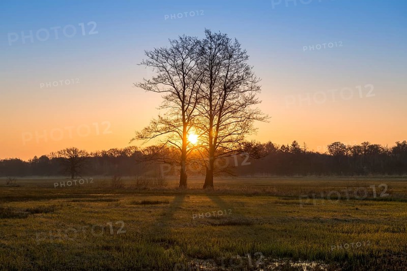 Sunrise in the Moenchbruch Nature Reserve
