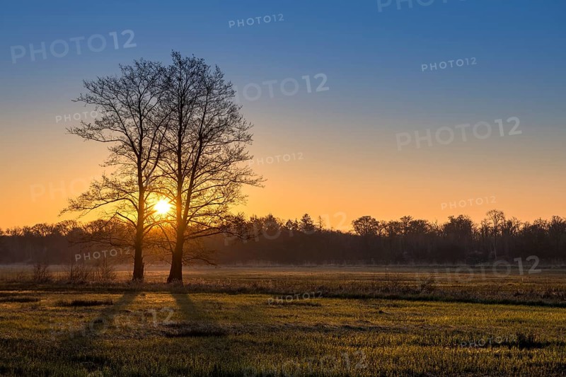 Sunrise in the Moenchbruch Nature Reserve
