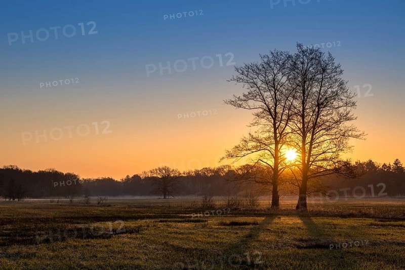 Sunrise in the Moenchbruch Nature Reserve