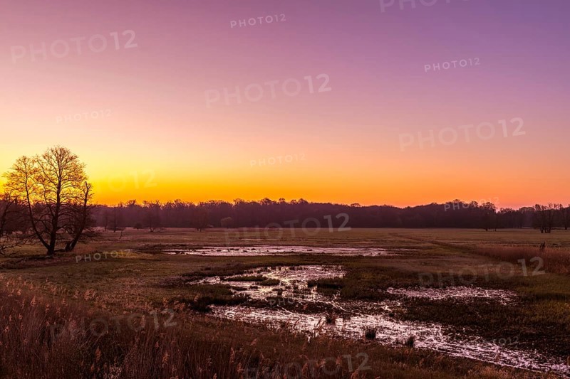 Sunrise in the Moenchbruch Nature Reserve