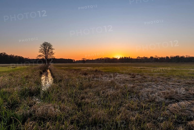 Sunrise in the Moenchbruch Nature Reserve