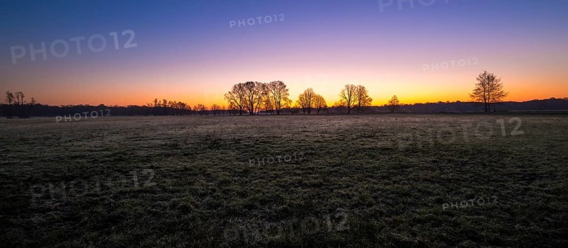 Sunrise in the Moenchbruch Nature Reserve