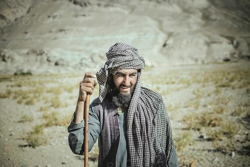 Portrait Shepherd