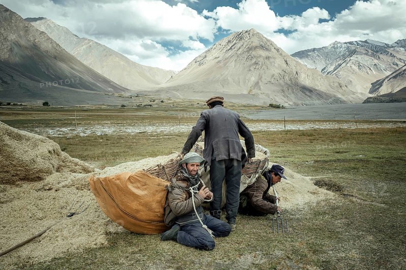 One man helps two other men shoulder their baskets of wheat to bring the harvest from the fields to the granaries