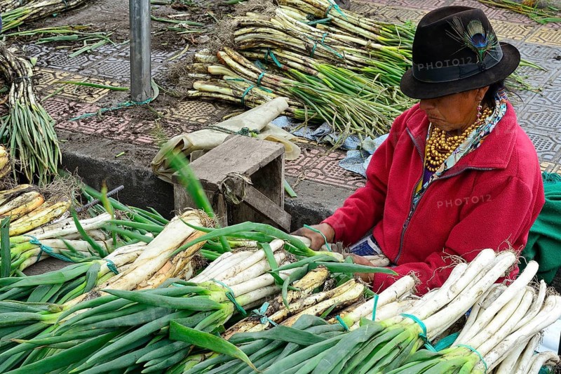 Leek stand at the market
