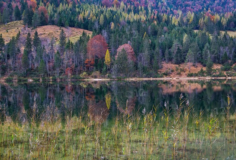 Ferchensee with autumn colours