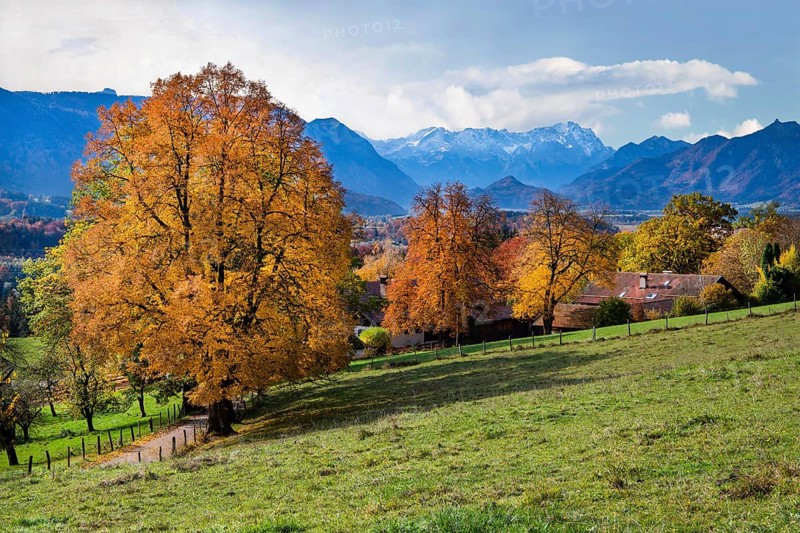Autumn landscape above the Murnauer moss with Zugspitze group near Hagen