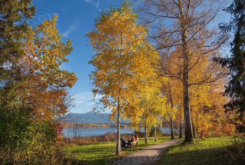 Hiking trail at Staffelsee