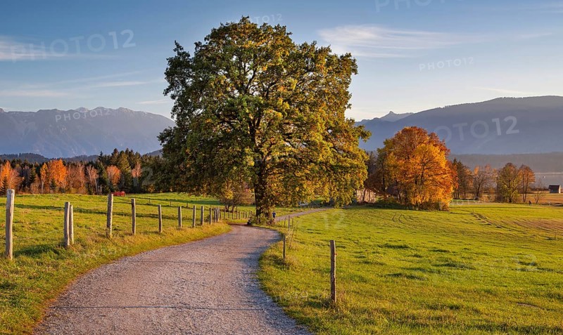 Autumn landscape with hiking trail at Staffelsee