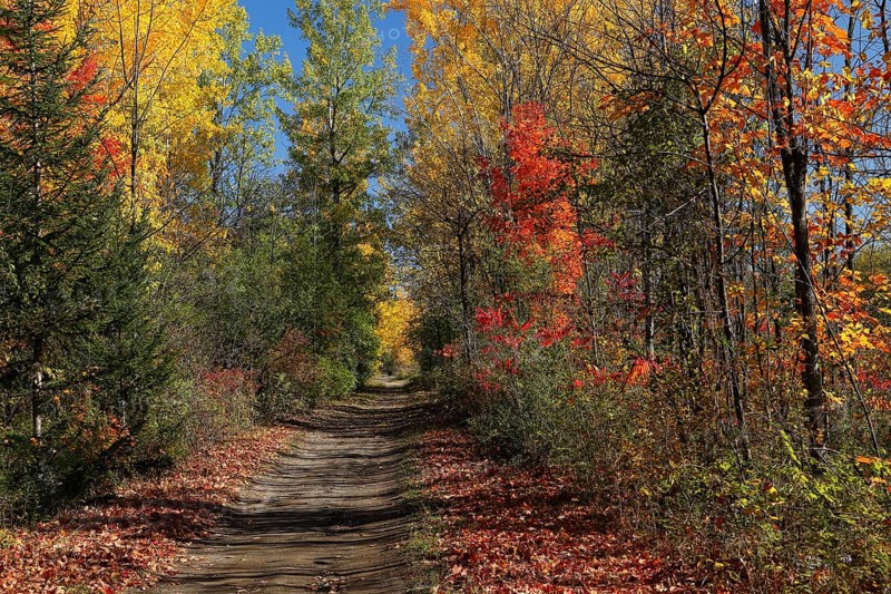 Hiking trail through autumn landscape