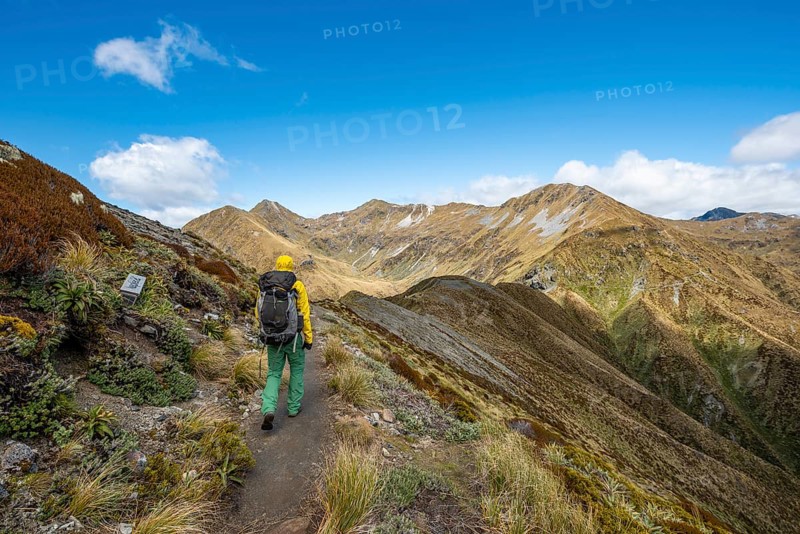 Hiker on Kepler Track