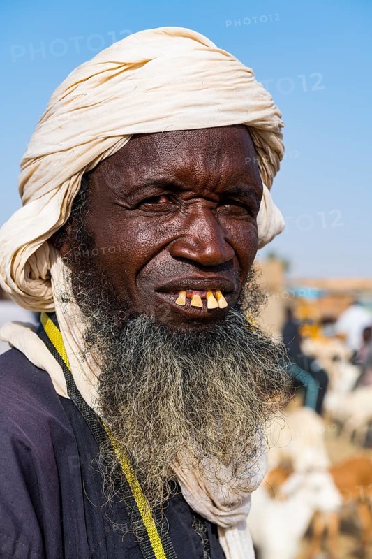 Tuareg at the animal market