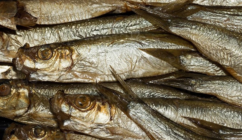Kiel sprats
