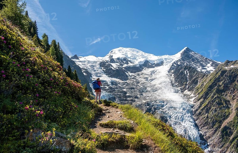 Hiker on hiking trail