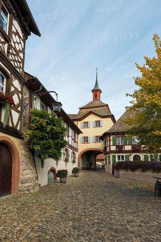 Burkheim