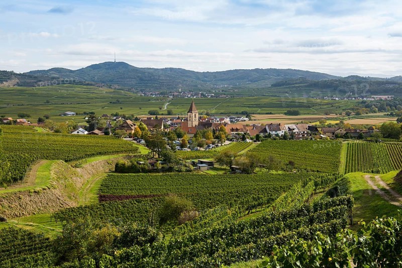 Burkheim