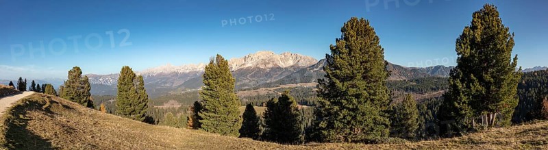 Panorama on Catinaccio and Latemar