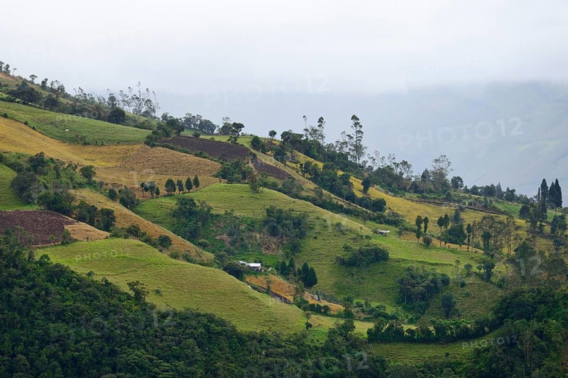 Landscape at the foot of the volcano Tungurahua