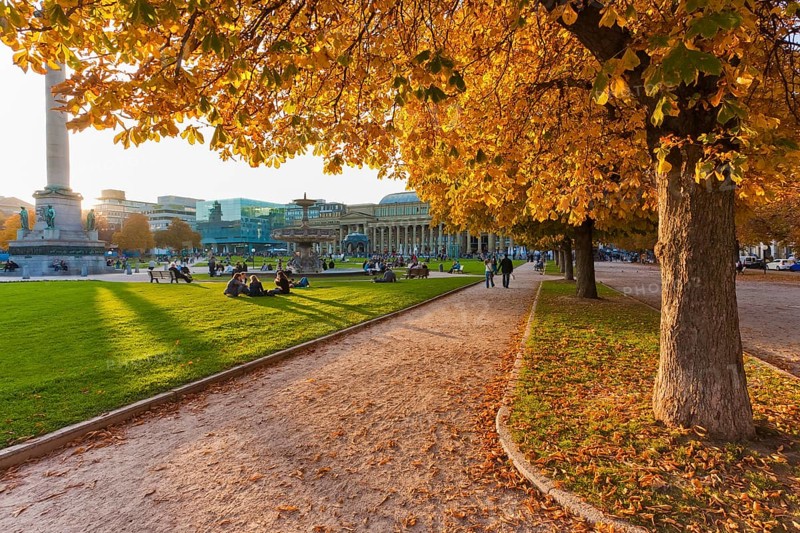 Autumn trees at Schlossplatz