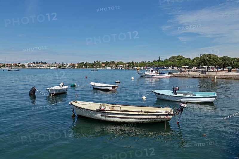Boats in port