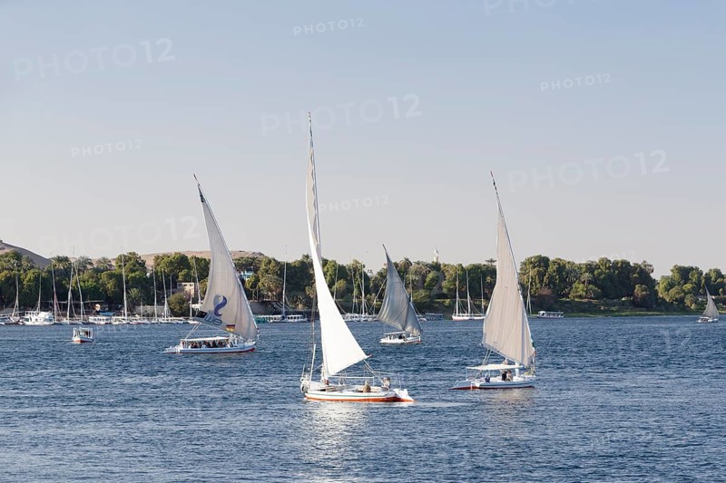 Feluccas on the river Nile