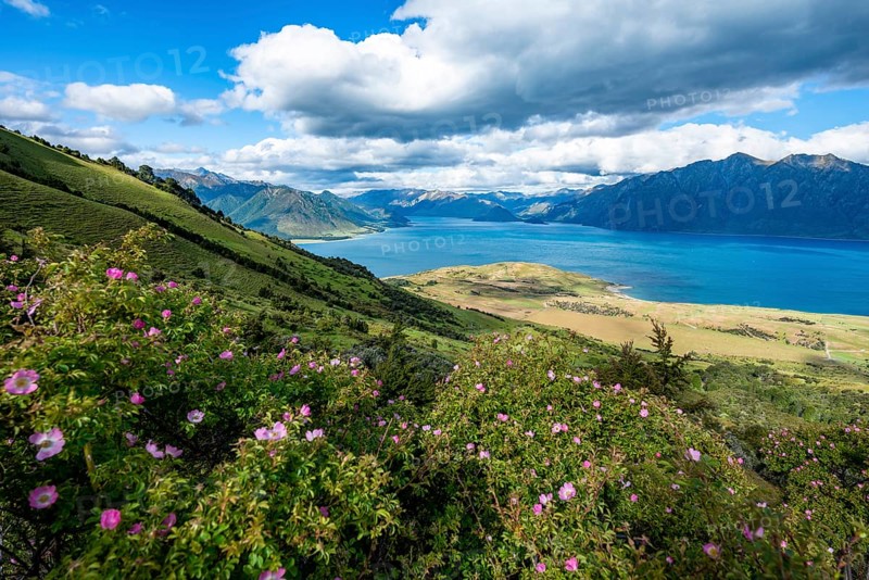 View of Lake Hawea