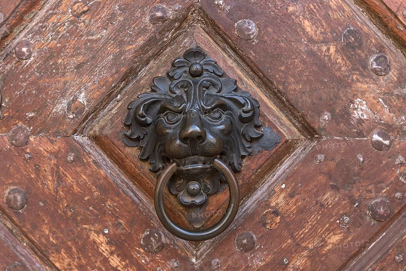 Brass lion head as a door knocker on a historical entrance gate