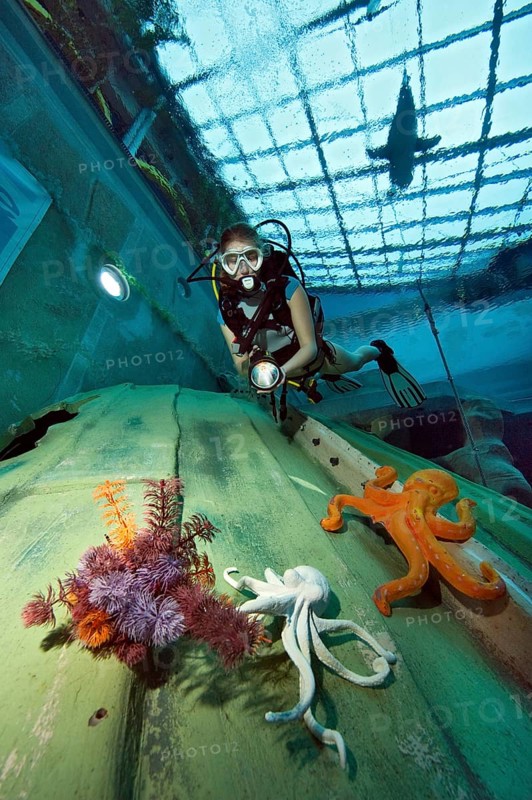 Diver in indoor diving pool