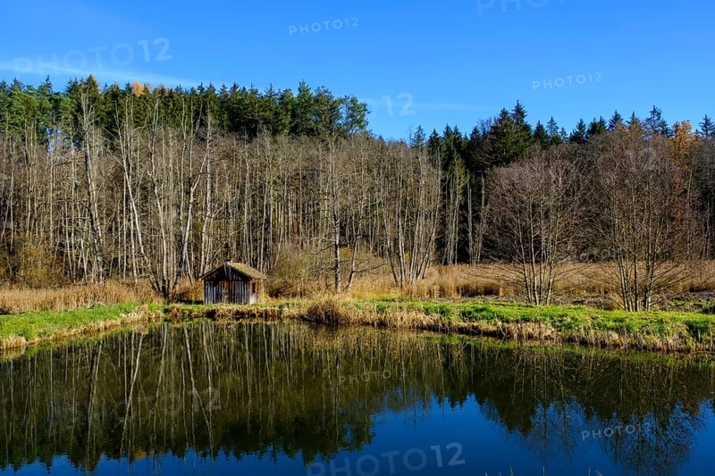 Fish pond in the Anhauser Valley