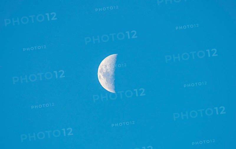 Half moon