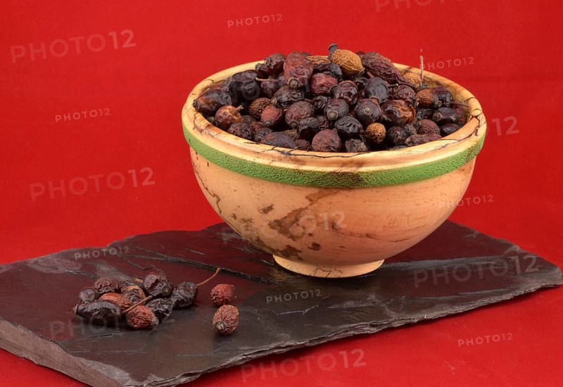 Dried rose hips of the dog rose