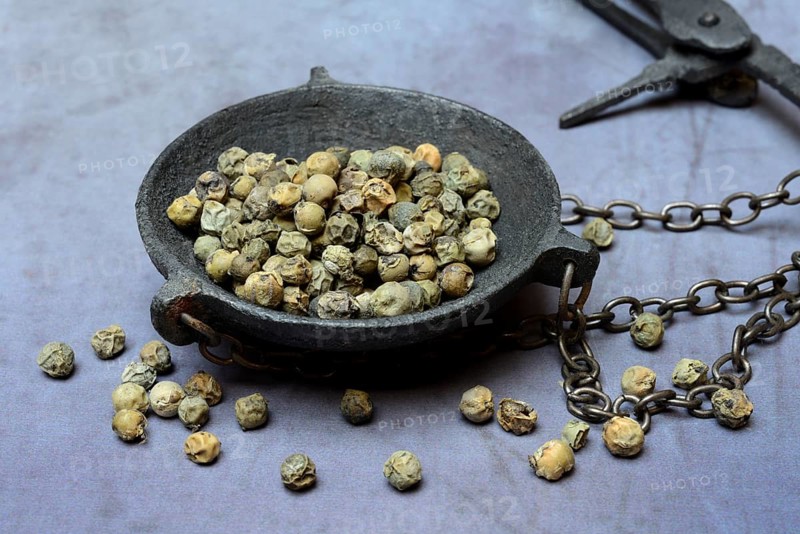 Green Malabar pepper in weighing pan