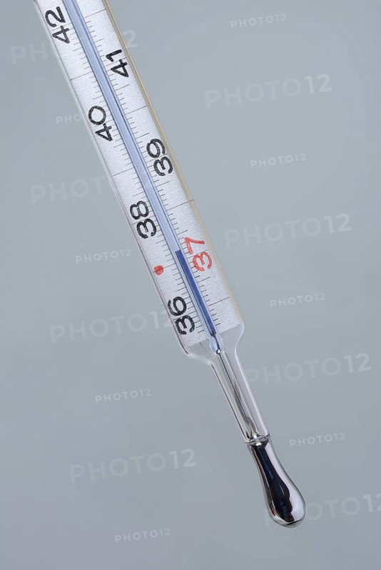 Clinical thermometer