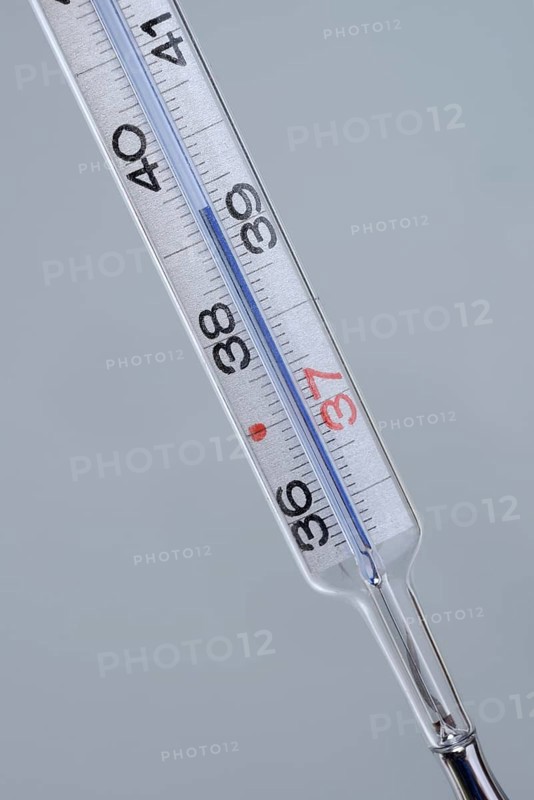 Clinical thermometer
