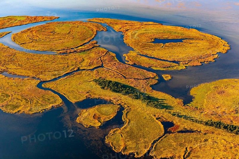 Aerial view of the Small Werder Islands in the National Park Vorpommersche Boddenlandschaft