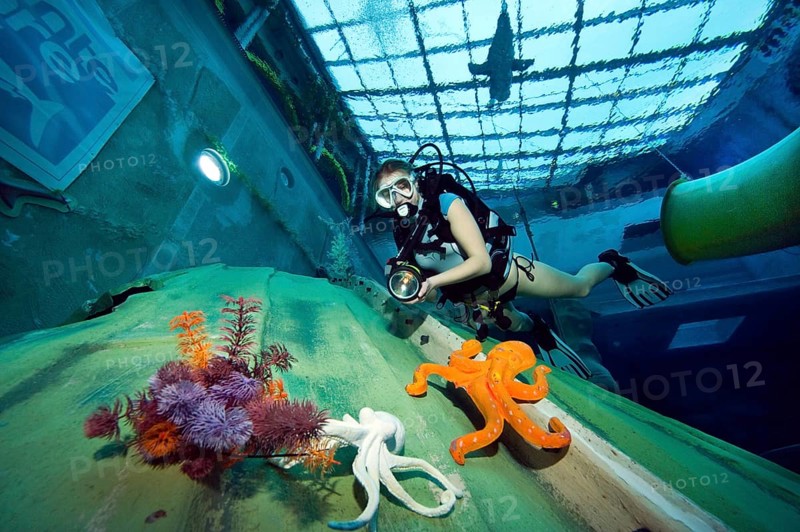 Diver in indoor diving pool
