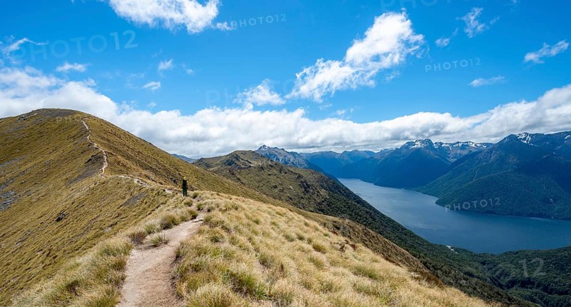 Hiker on Kepler Track