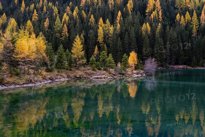 Autumn in the nature park Riedingtal