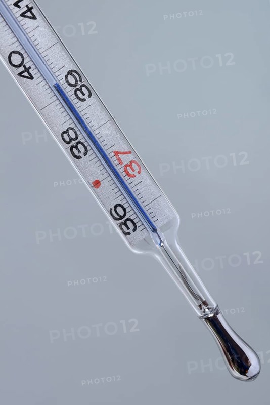 Clinical thermometer