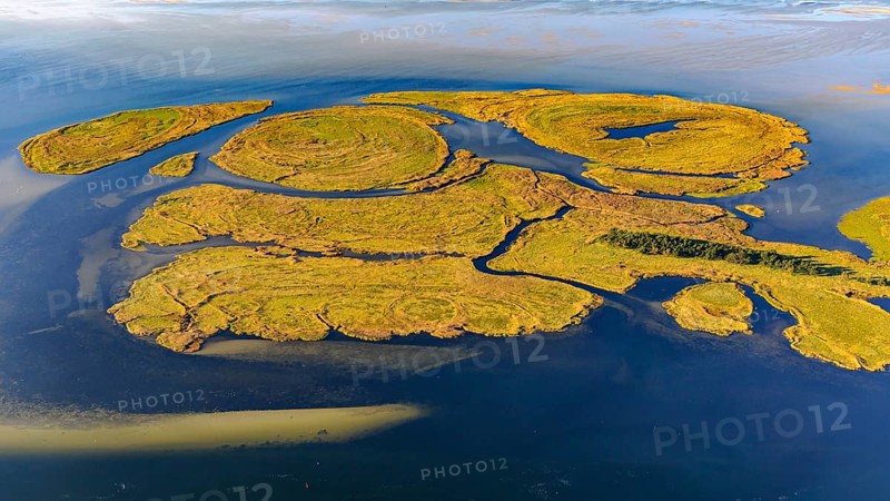 Aerial view of the Small Werder Islands in the National Park Vorpommersche Boddenlandschaft