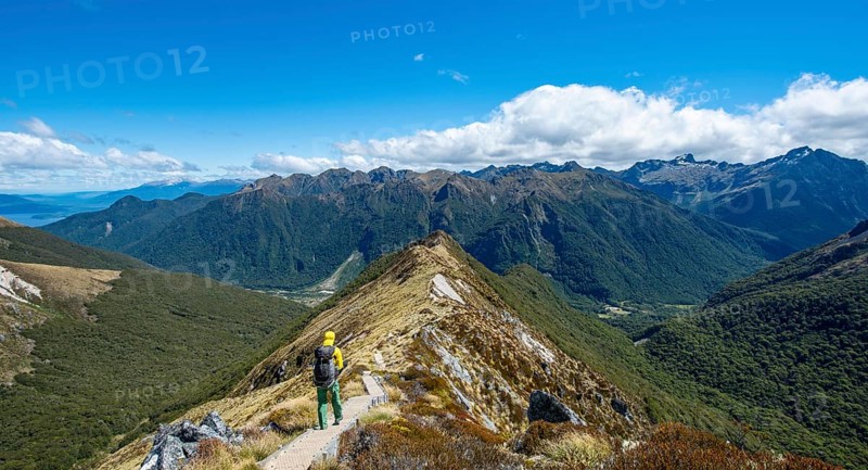 Hikers on hiking trail