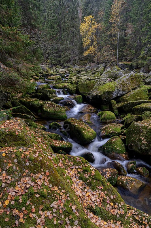 Autumn at the Vydra with huge boulders in the riverbed