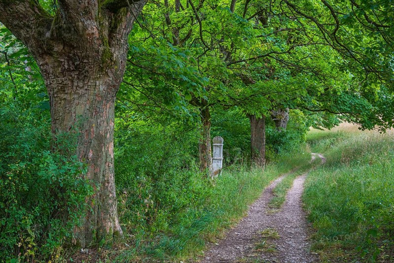 Hiking trail above Eichstaett
