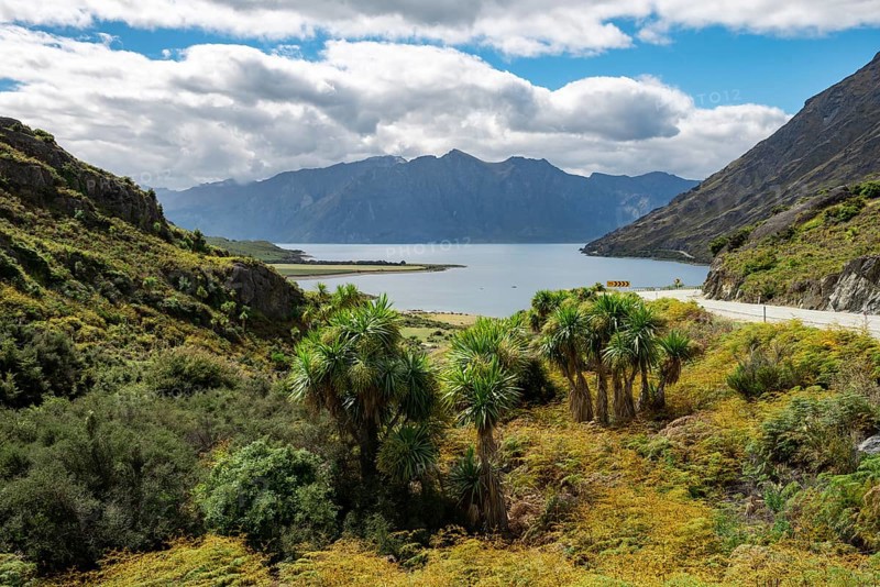 View of mountains and Lake Hawea with palm trees