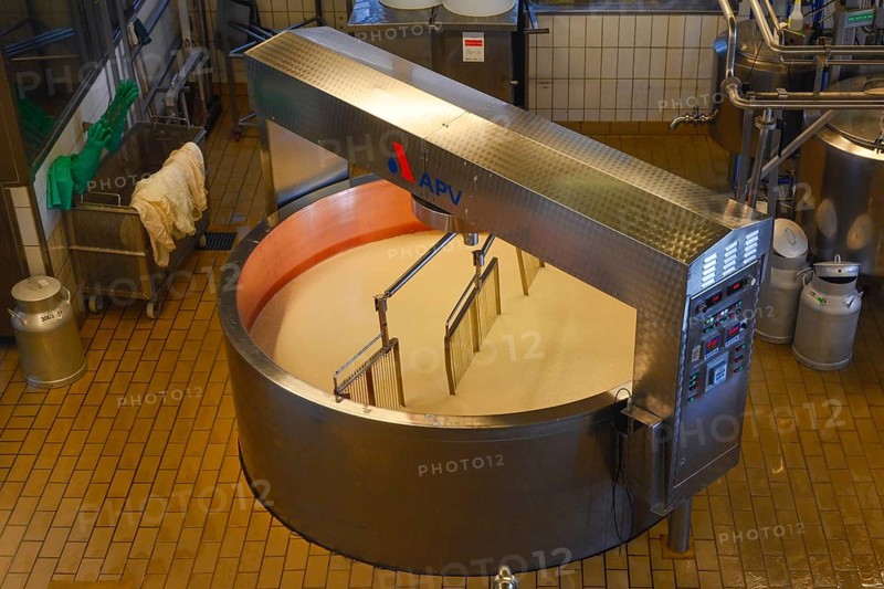 Large cheese maker with knife harps